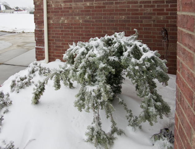 Peter Free's DxO Viewpoint review photo of anamorphosis correction of brick wall.
